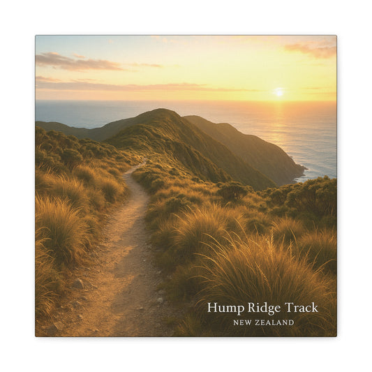 Sunset over a coastal landscape with a path leading towards the ocean, labeled 'Hump Ridge Track, New Zealand'.
