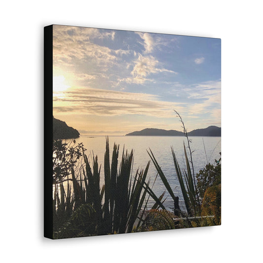Rakiura Track Canvas print of a sunset over water with silhouettes of plants and mountains.