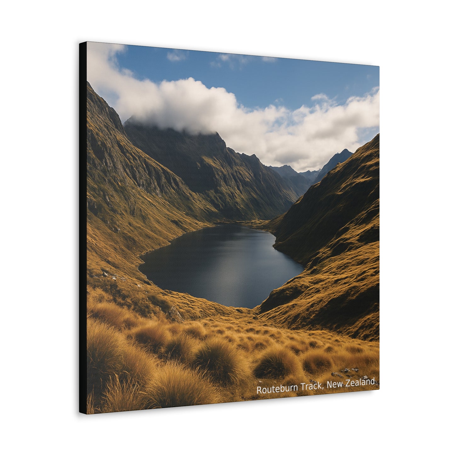 Routeburn Track, Fiordland New Zealand Canvas Print V3