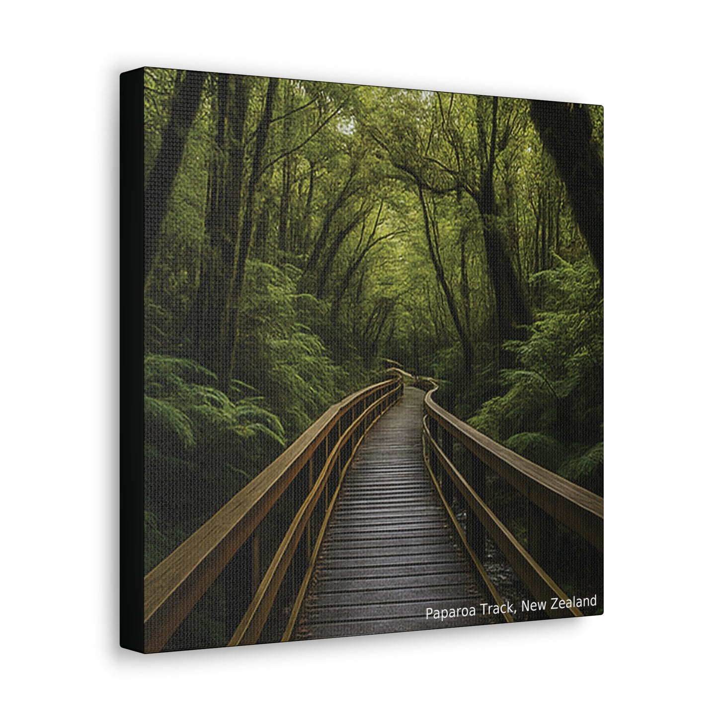 Canvas print of a wooden path through a dense forest with 'Paparoa Track, New Zealand' text.