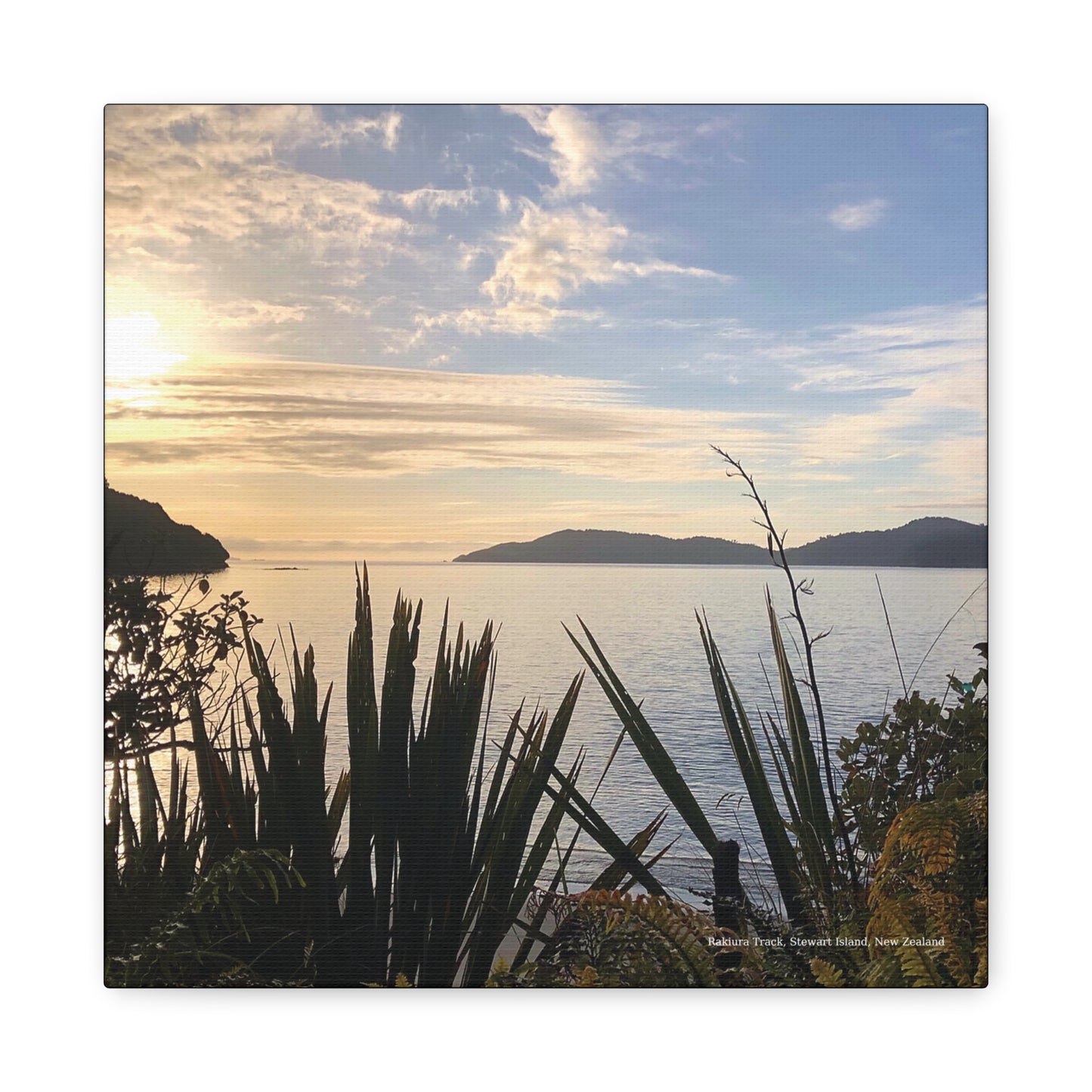 Scenic view of a Rakiura Track sunset over a body of water with mountains in the distance, framed by plants.