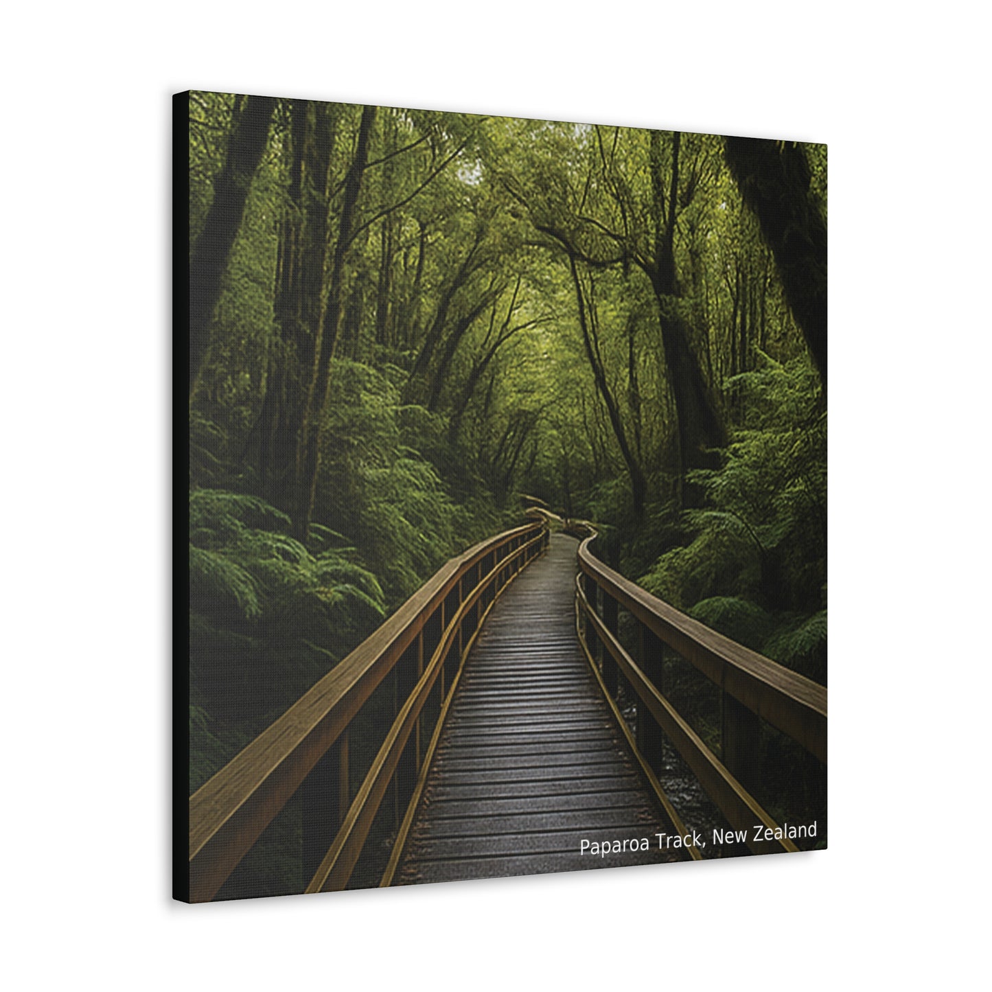 Paparoa Track Canvas Print V2 — West Coast New Zealand