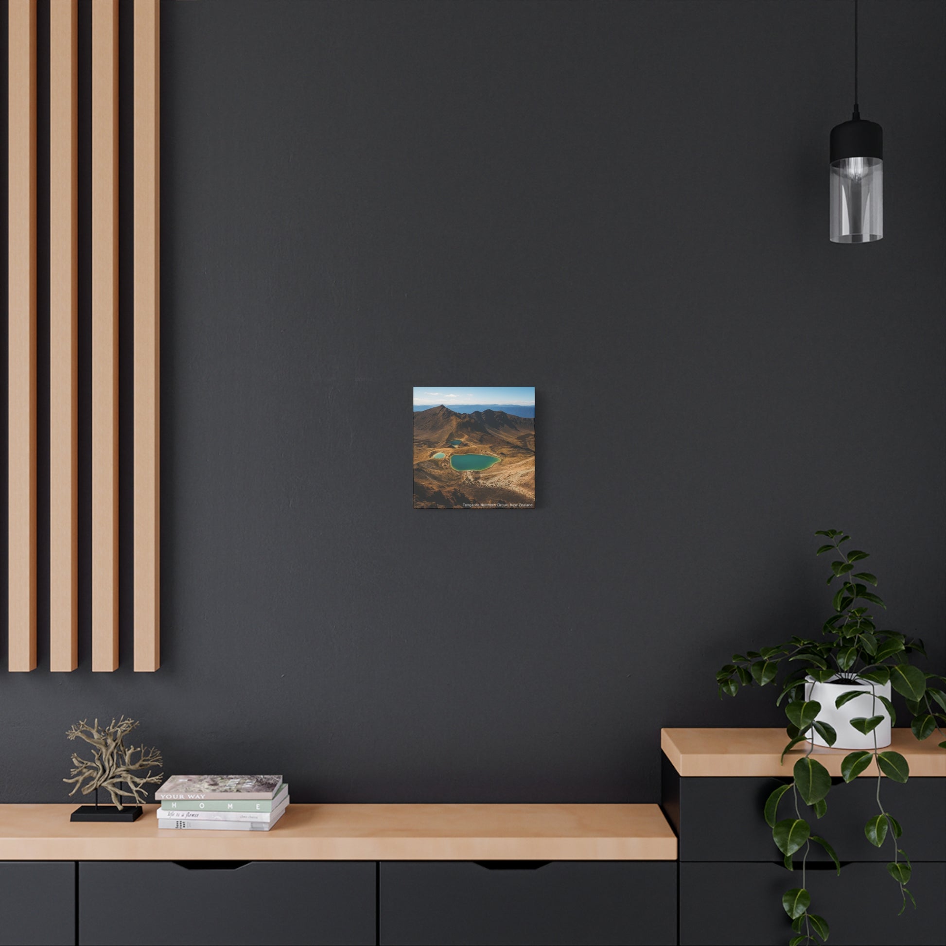 Modern interior with a dark wall, wooden shelf, and decorative items.