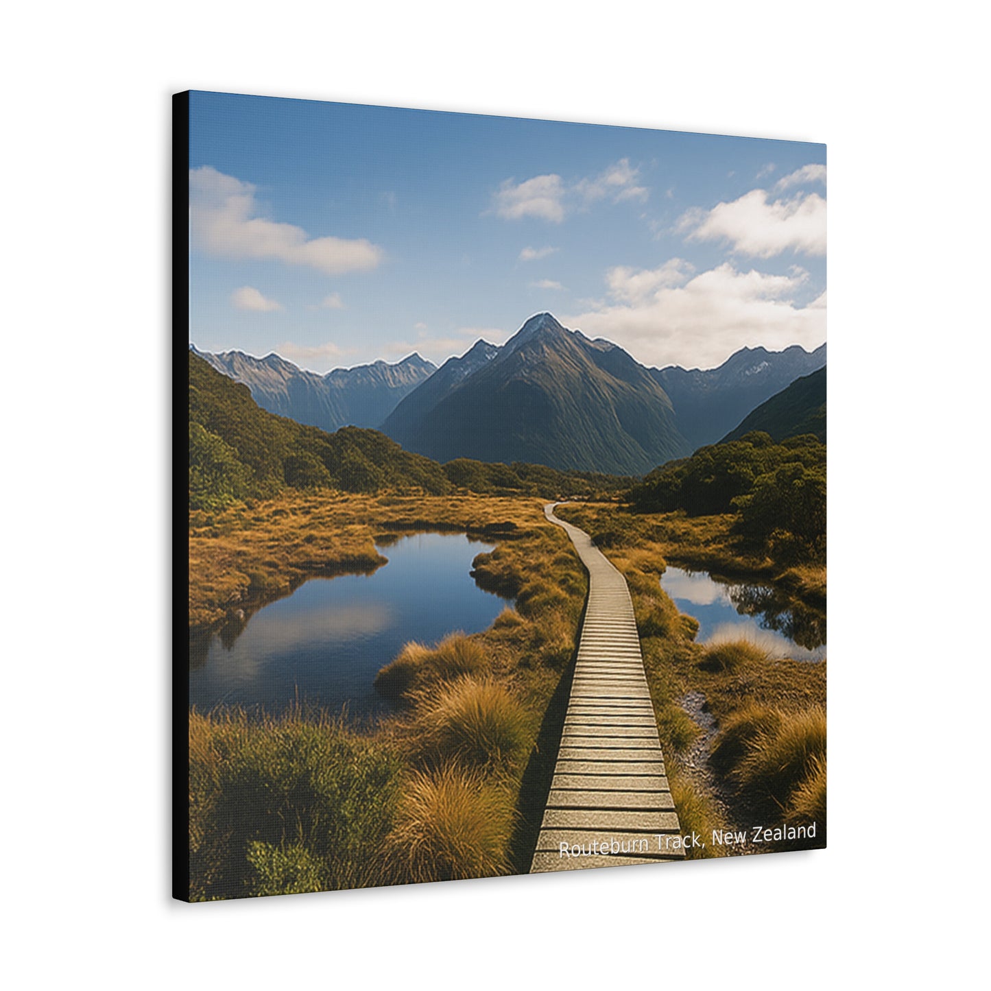 Routeburn Track, Fiordland New Zealand Canvas Print V1