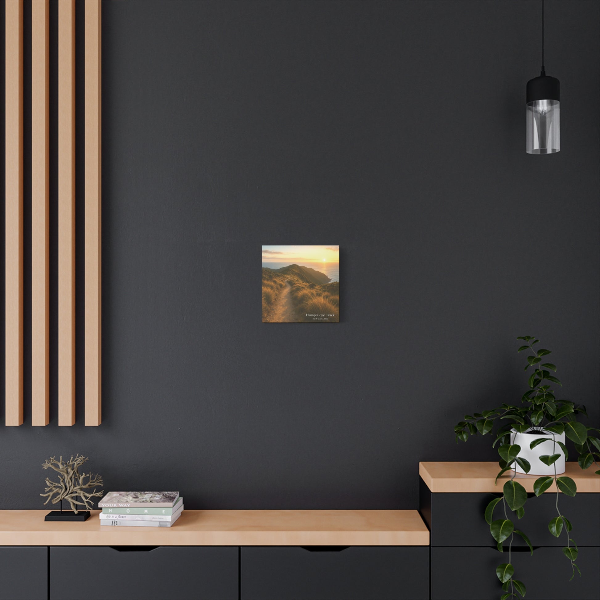 Hump Ridge Track Modern interior with a dark wall, wooden shelf, and decorative items.