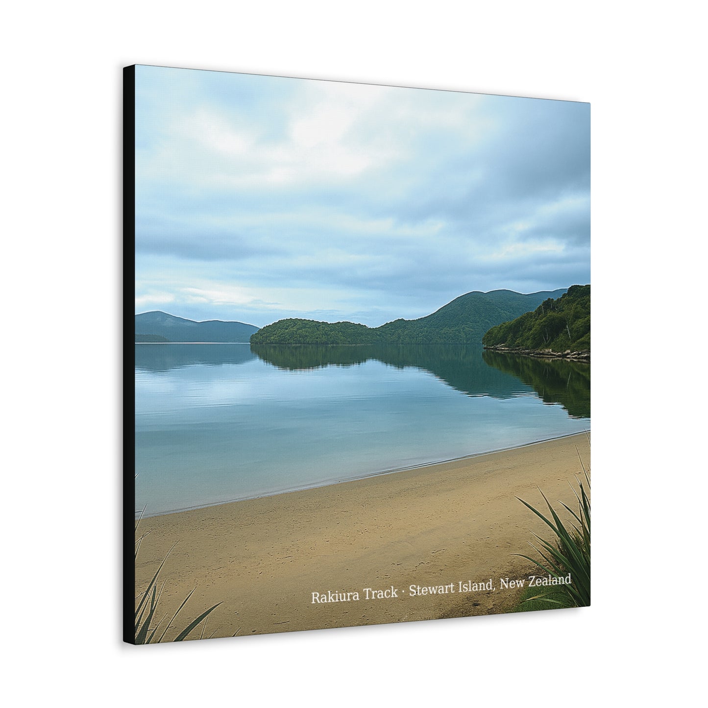 Rakiura Track, Stewart Island New Zealand Canvas Print V2