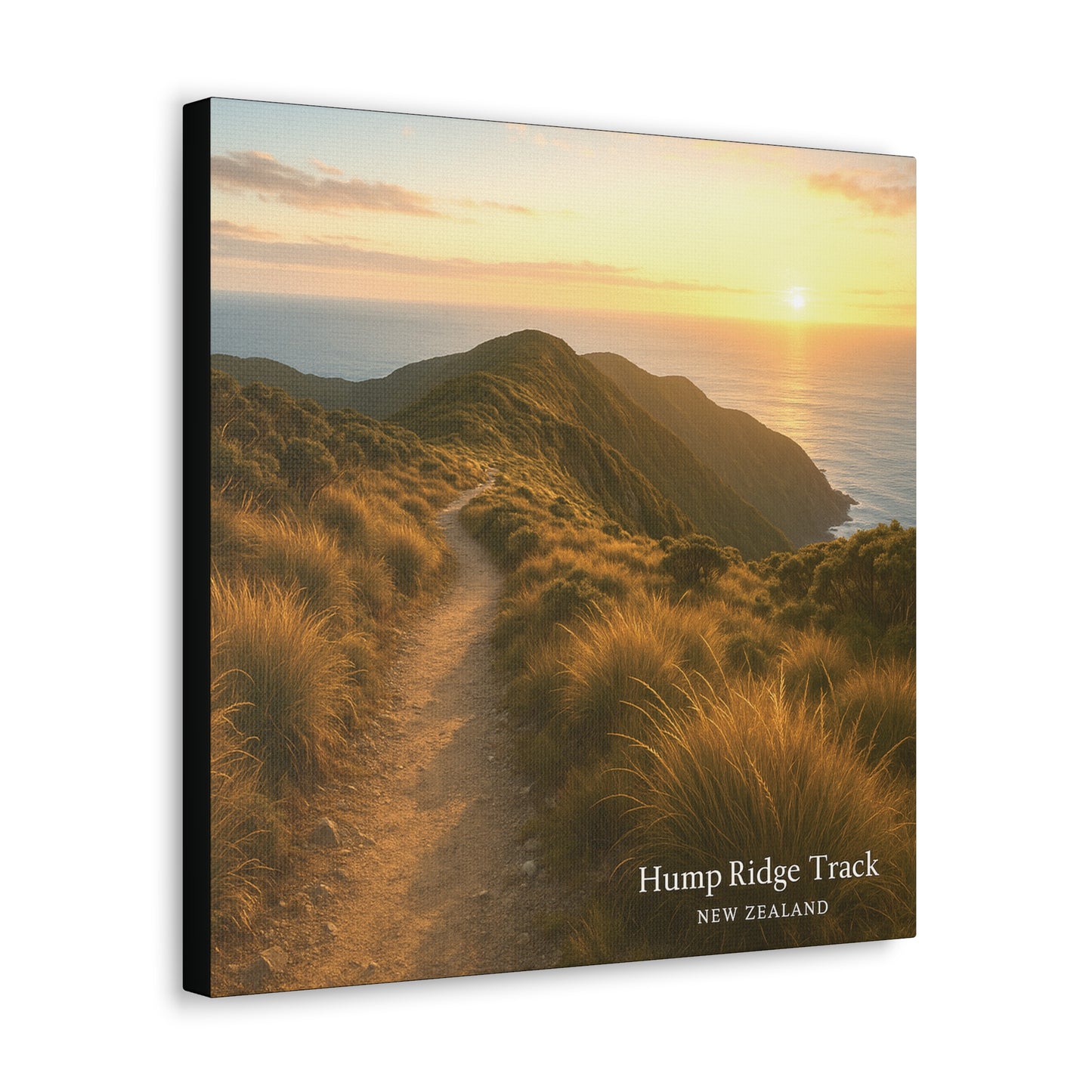 Canvas print of a scenic view with a path leading to a sunset over the ocean, labeled 'Hump Ridge Track, New Zealand'.