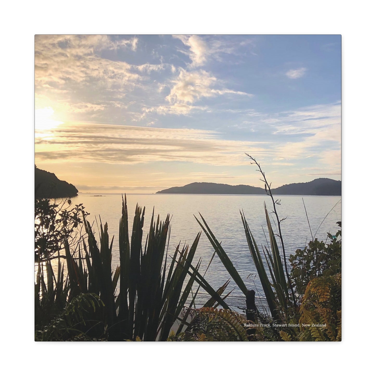 Scenic view of a Rakiura Track  lake with mountains in the distance, framed by plants.