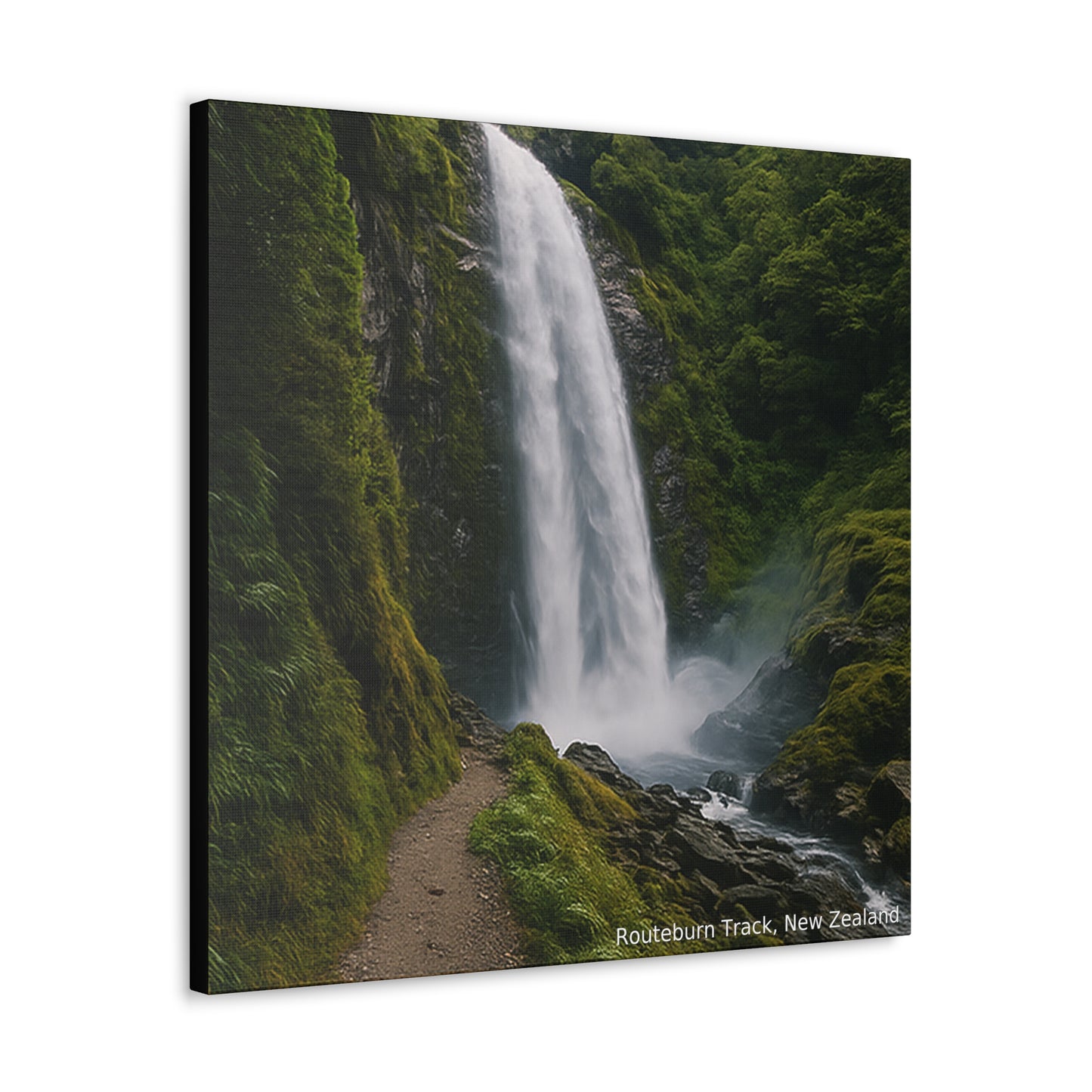 Routeburn Track, Fiordland New Zealand Canvas Print V2