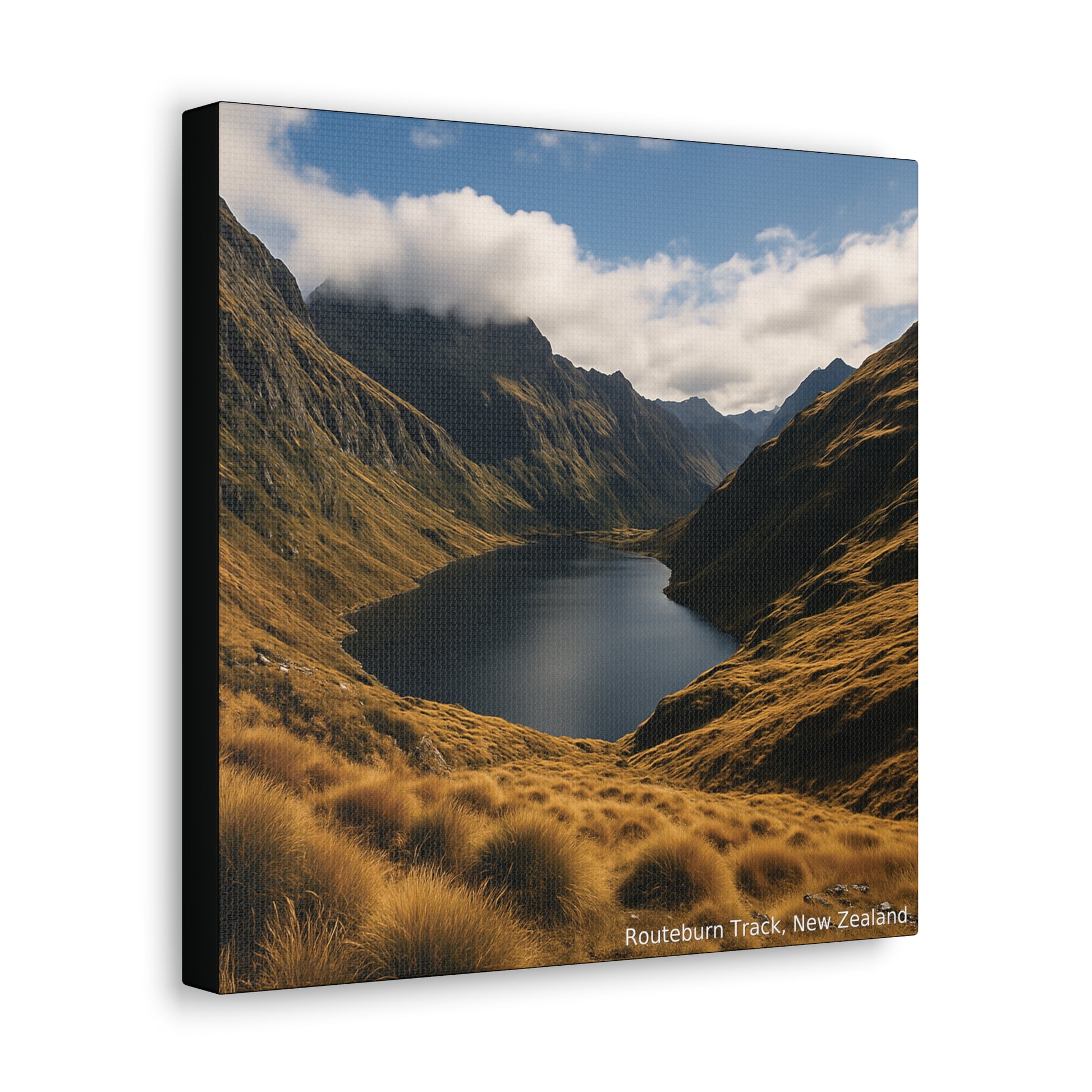 Routeburn Track Canvas print of a mountain landscape with a lake and blue sky.