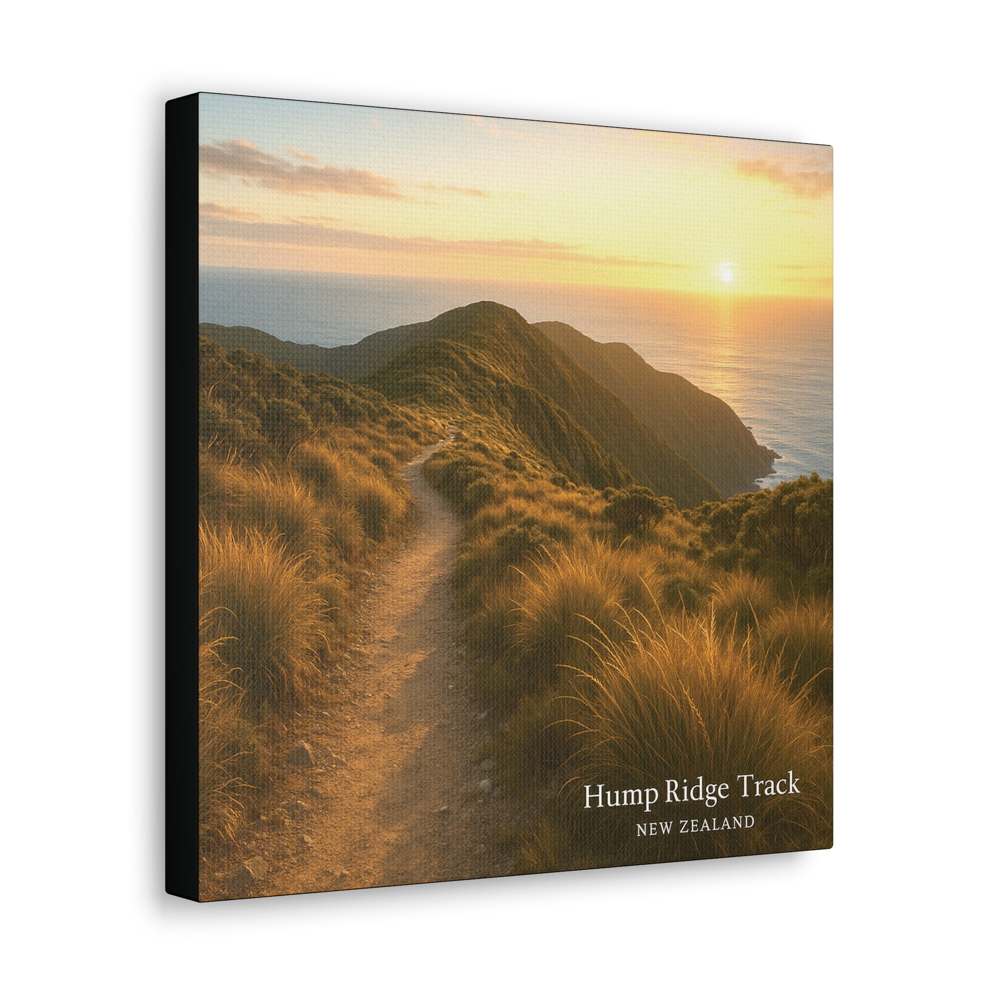 Canvas print of a scenic view with a path leading to a sunset over the ocean, labeled 'Hump Ridge Track, New Zealand'.