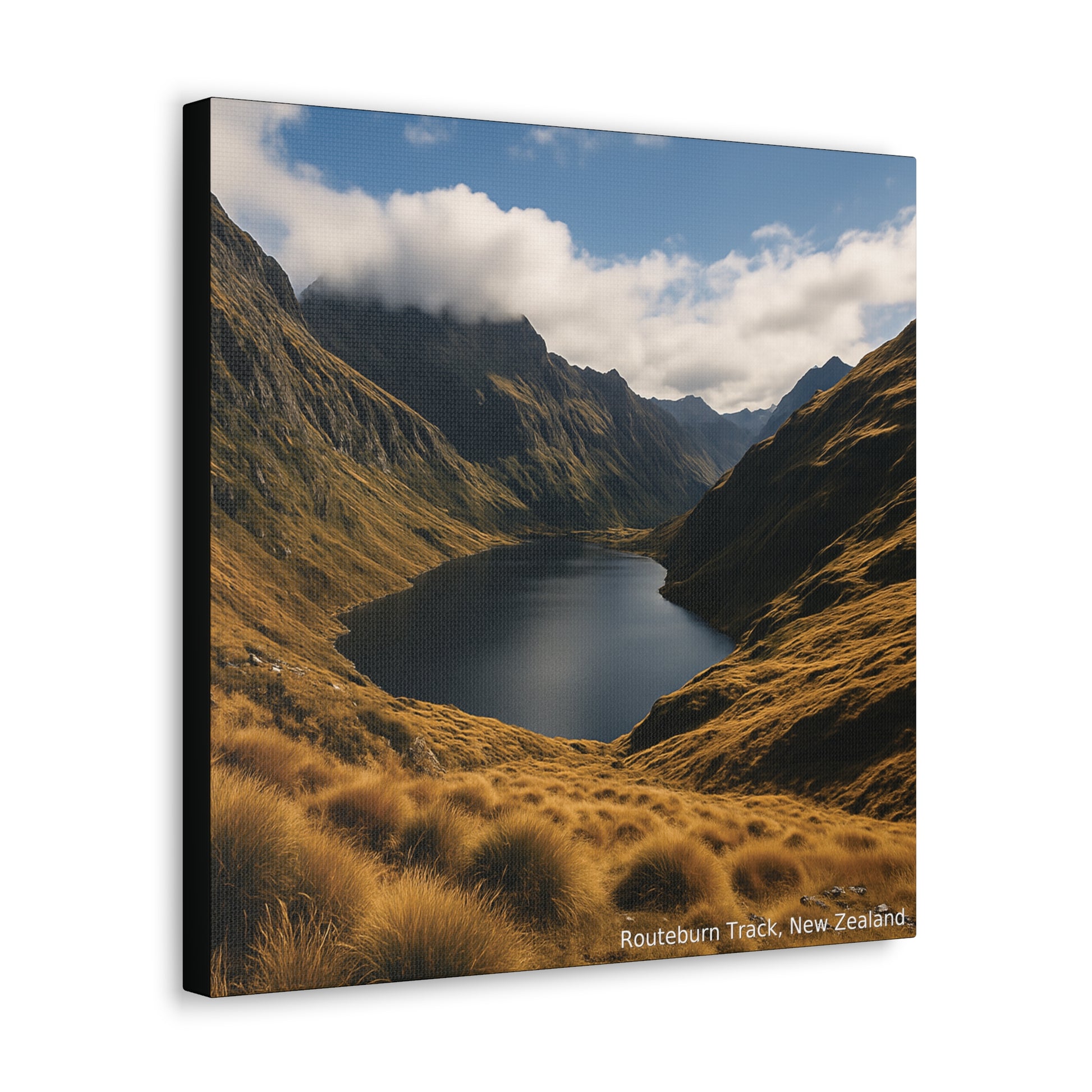 Canvas print of a mountainous landscape with a lake, featuring the Routeburn Track in New Zealand.