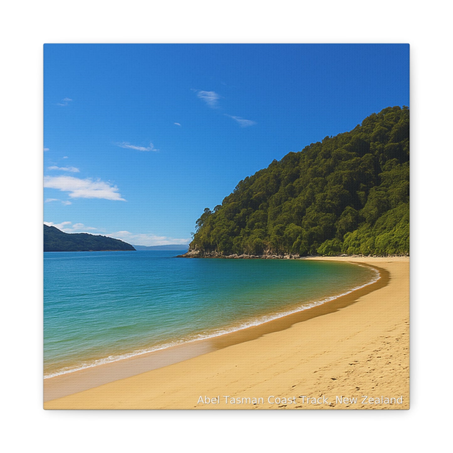 Abel Tasman Beach with clear blue water and green trees on a hillside