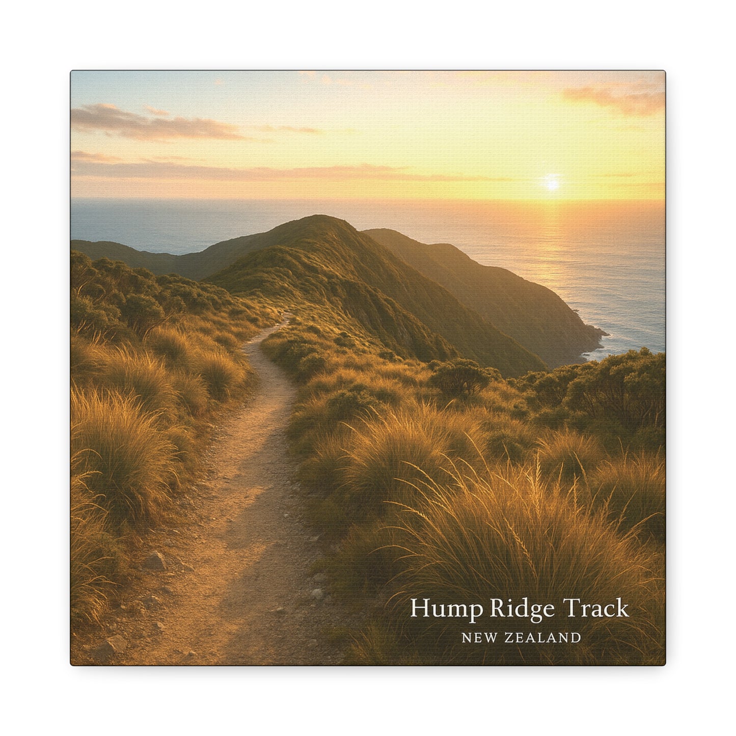 Sunset over a coastal landscape with a path leading to the sea, labeled 'Hump Ridge Track, New Zealand'.