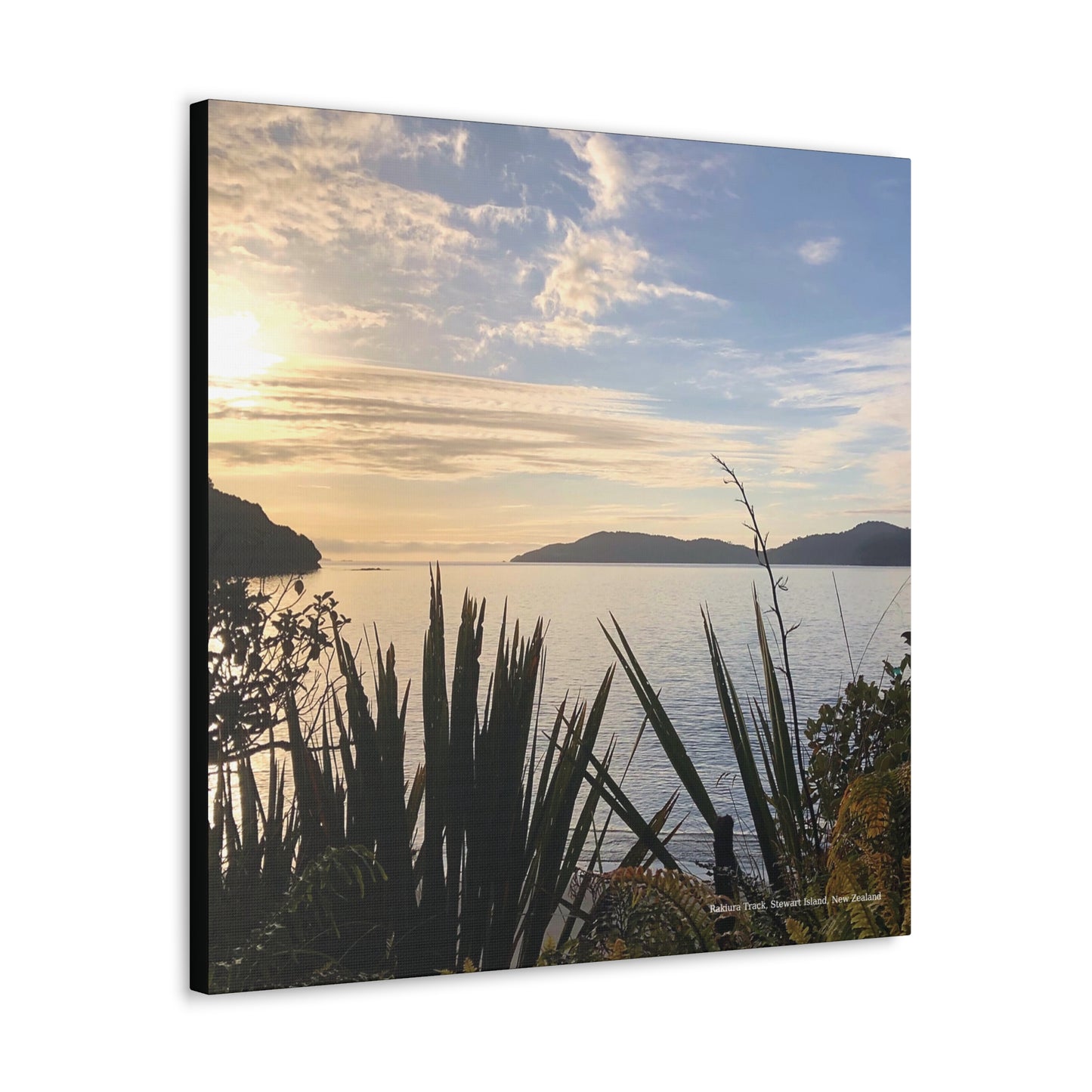 Rakiura Track, Stewart Island New Zealand Canvas Print V1