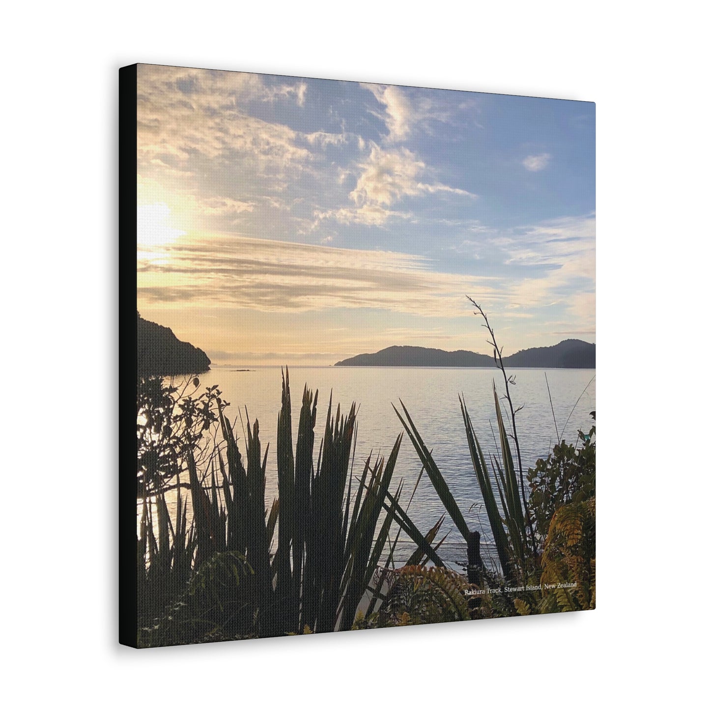 Rakiura Track Canvas print of a sunset over water with mountains and plants in the foreground.